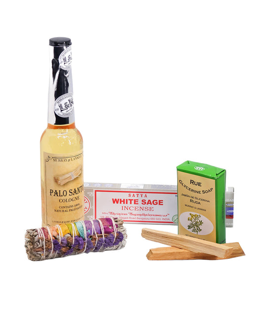 Kit limpieza y protección