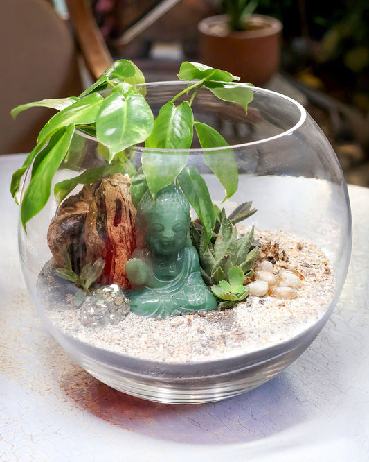 Terrarium Jardín de la prosperidad - Buda Aventurina Verde