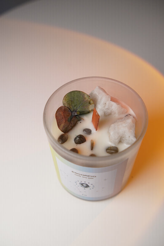 ♏ Scorpio – Moonstone, Paris Garden & Eucalyptus