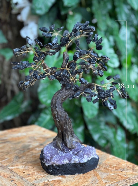 Árbol Turmalina Negra Bonsai gigante