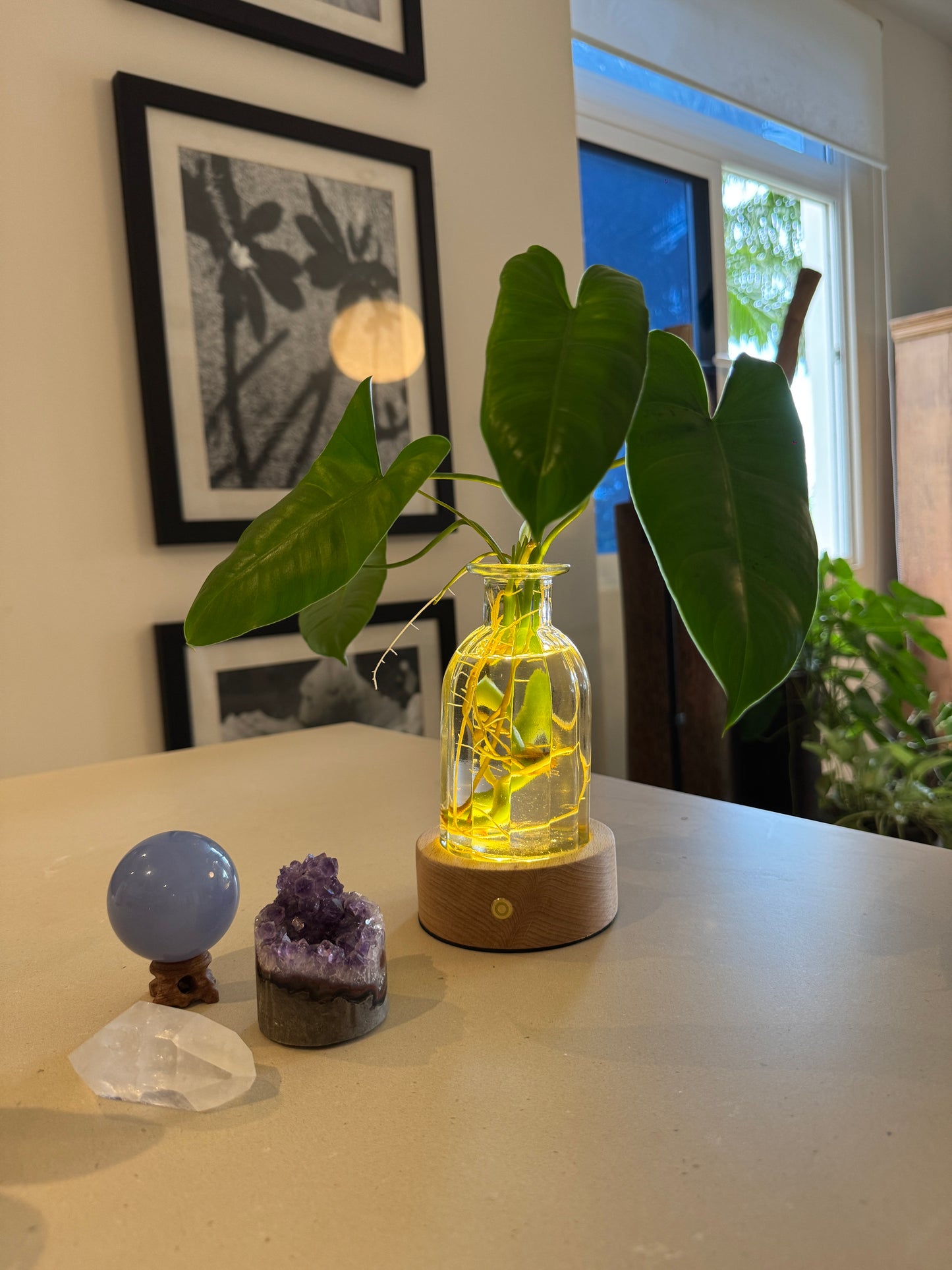 Florero Luminoso