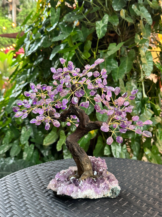 Árbol de amatista con base de amatista drusada